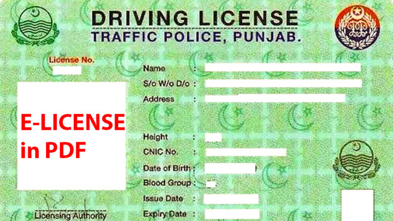How can I get e-license in Punjab?