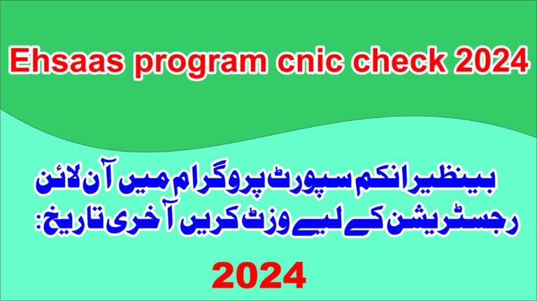 ehsaas program cnic check 2024
